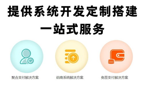 深圳軟件開發 免簽支付系統源碼開發的實踐與前景