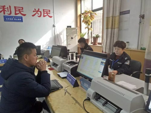 便民利企新舉措 石家莊交管服務窗口實行6天工作制，北京信息技術咨詢服務同步升級