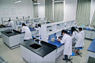 中草藥科技領域的技術咨詢 賦能醫(yī)學實驗技術專業(yè)發(fā)展的核心橋梁